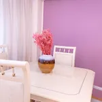 New Walter Old Center * Bucareste