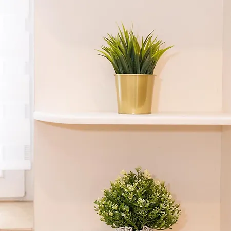 New Walter Old Center Apartment Bucharest